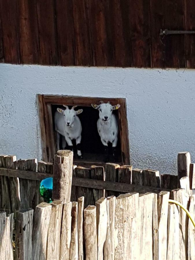 Landhaus Bergmoment - Adults Only Ellmau Εξωτερικό φωτογραφία