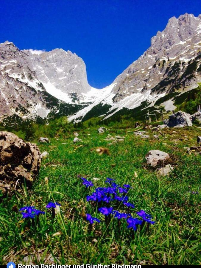 Landhaus Bergmoment - Adults Only Ellmau Εξωτερικό φωτογραφία