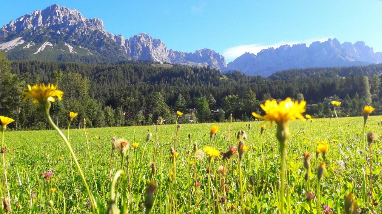 Landhaus Bergmoment - Adults Only Ellmau Εξωτερικό φωτογραφία